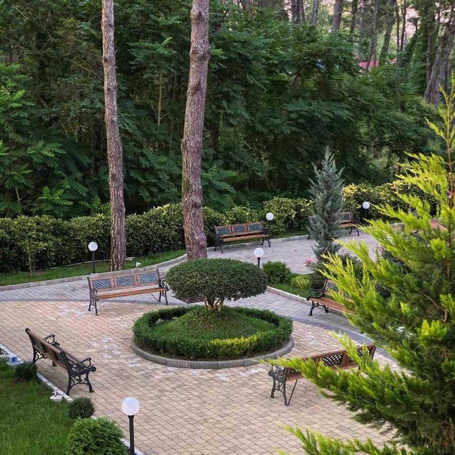 Buxus Hotel Shekvetili Esterno foto