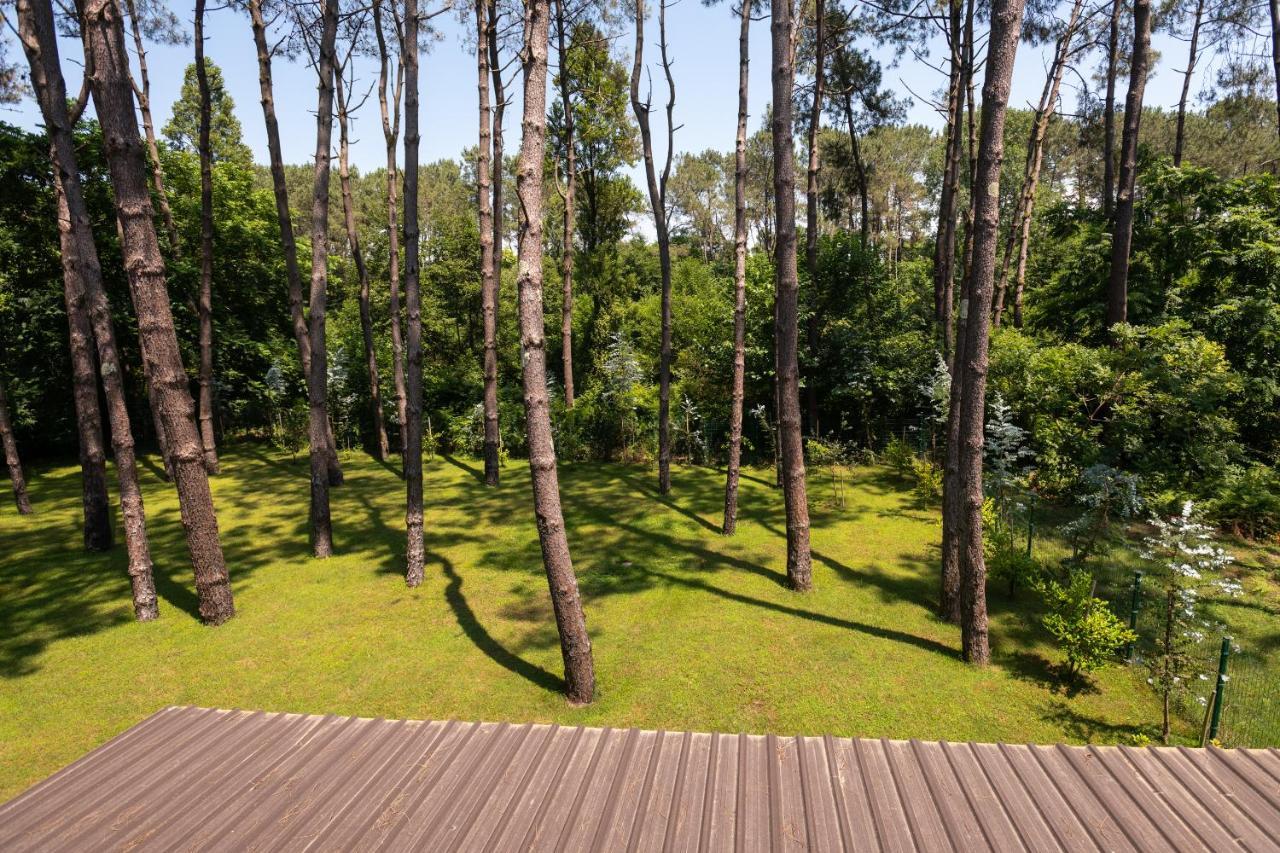 Buxus Hotel Shekvetili Esterno foto