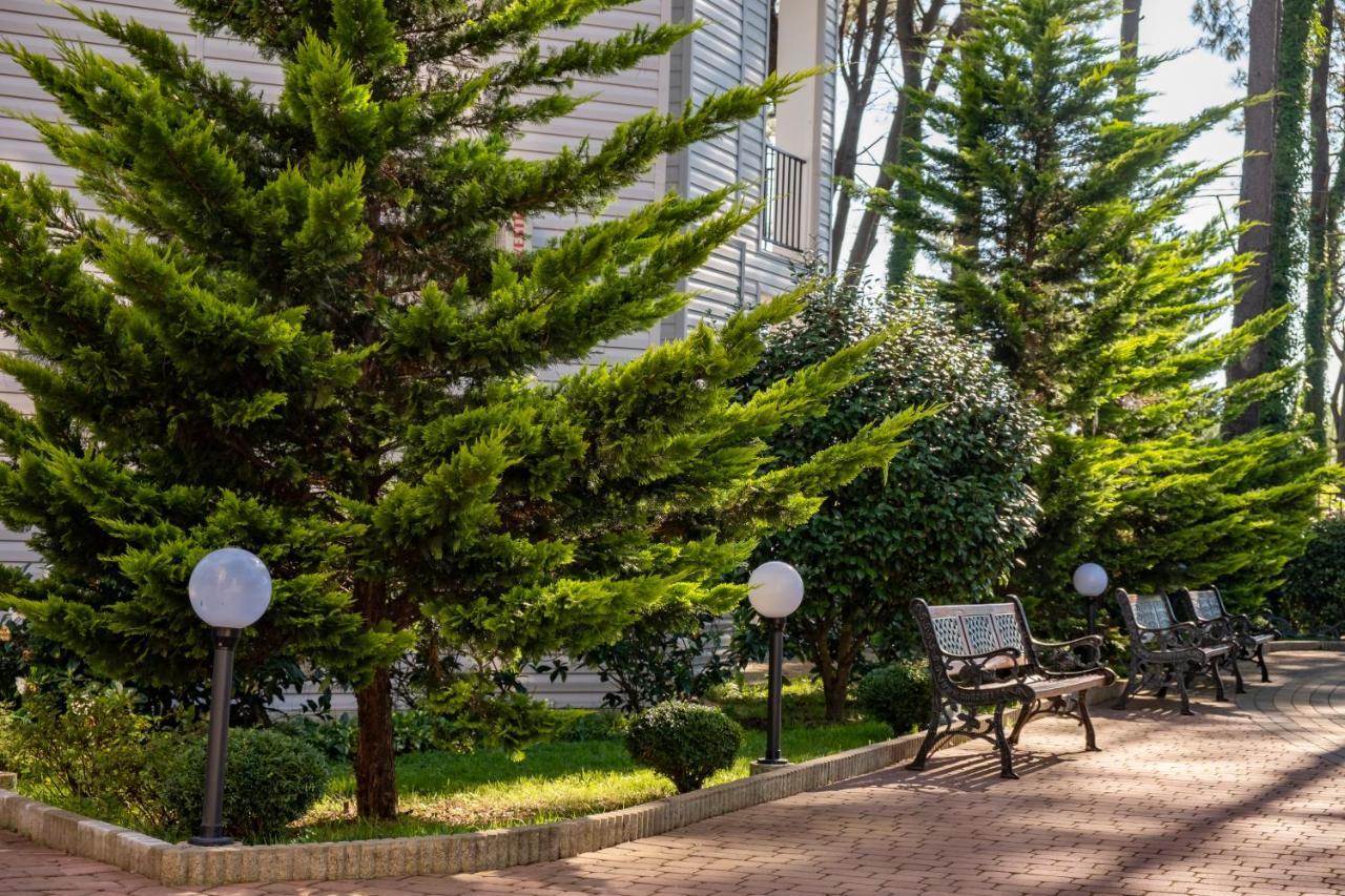 Buxus Hotel Shekvetili Esterno foto