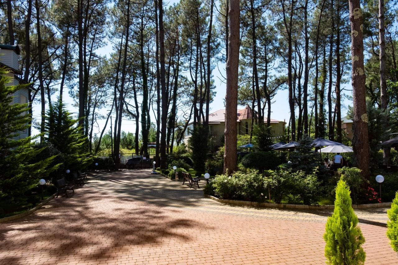 Buxus Hotel Shekvetili Esterno foto
