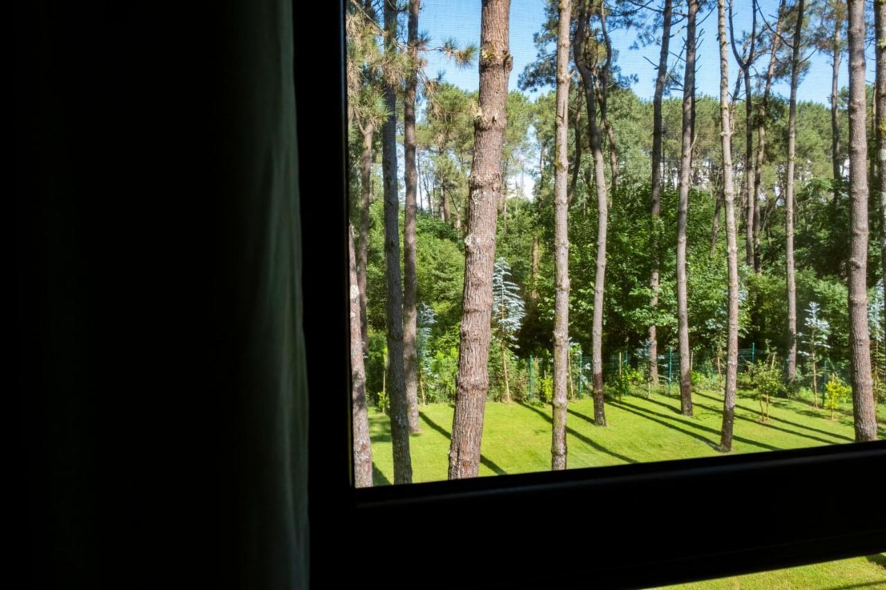 Buxus Hotel Shekvetili Esterno foto