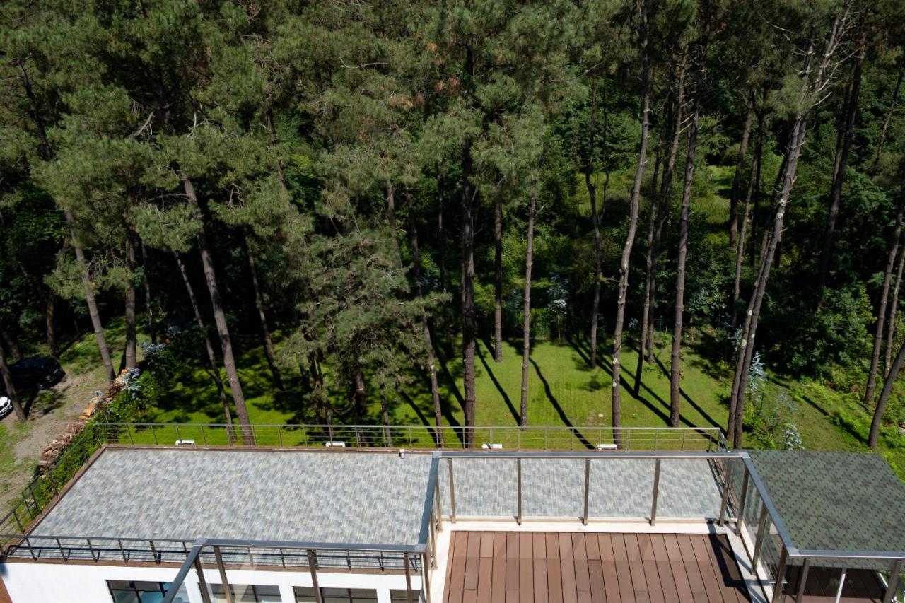 Buxus Hotel Shekvetili Esterno foto