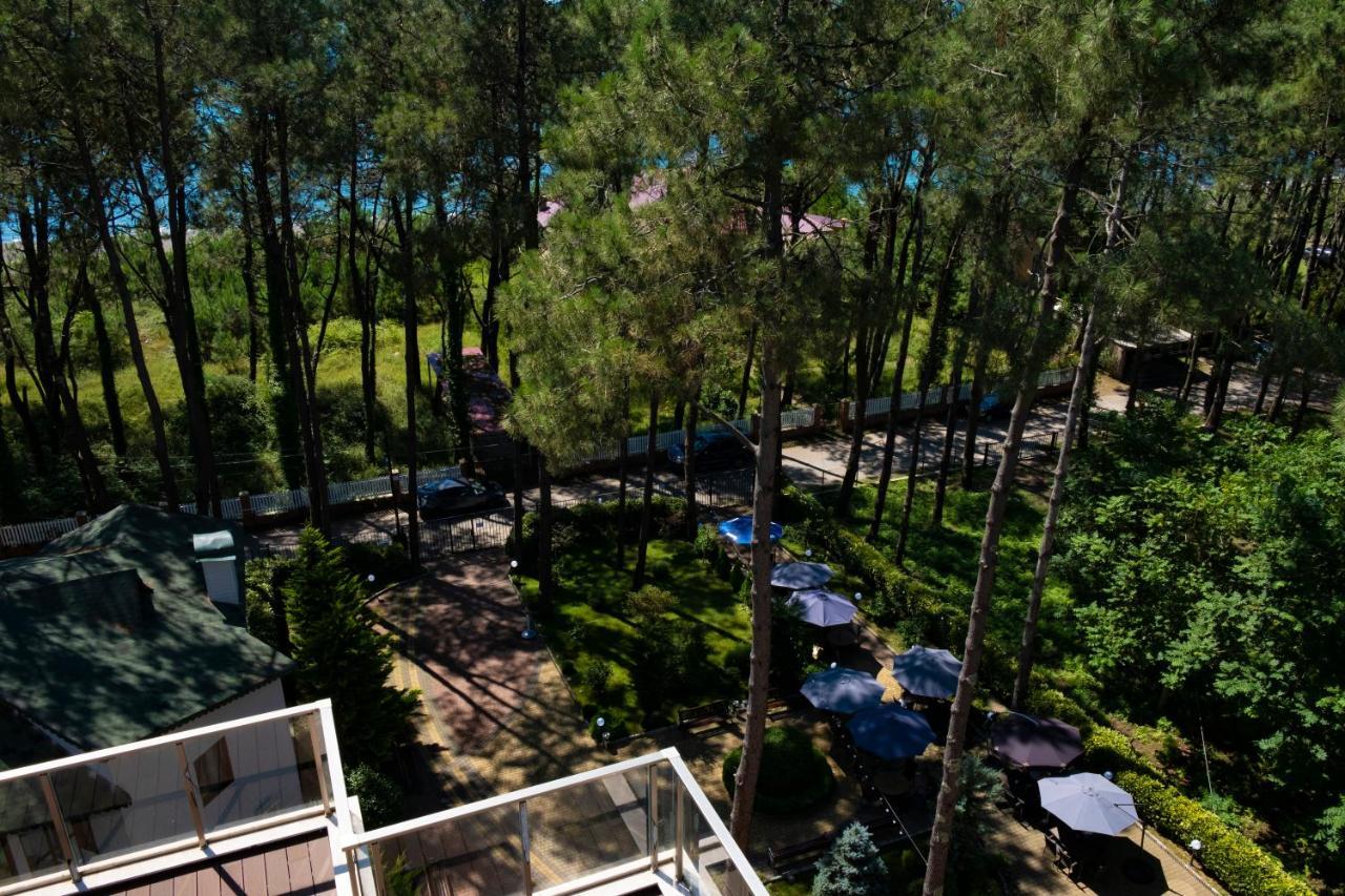 Buxus Hotel Shekvetili Esterno foto
