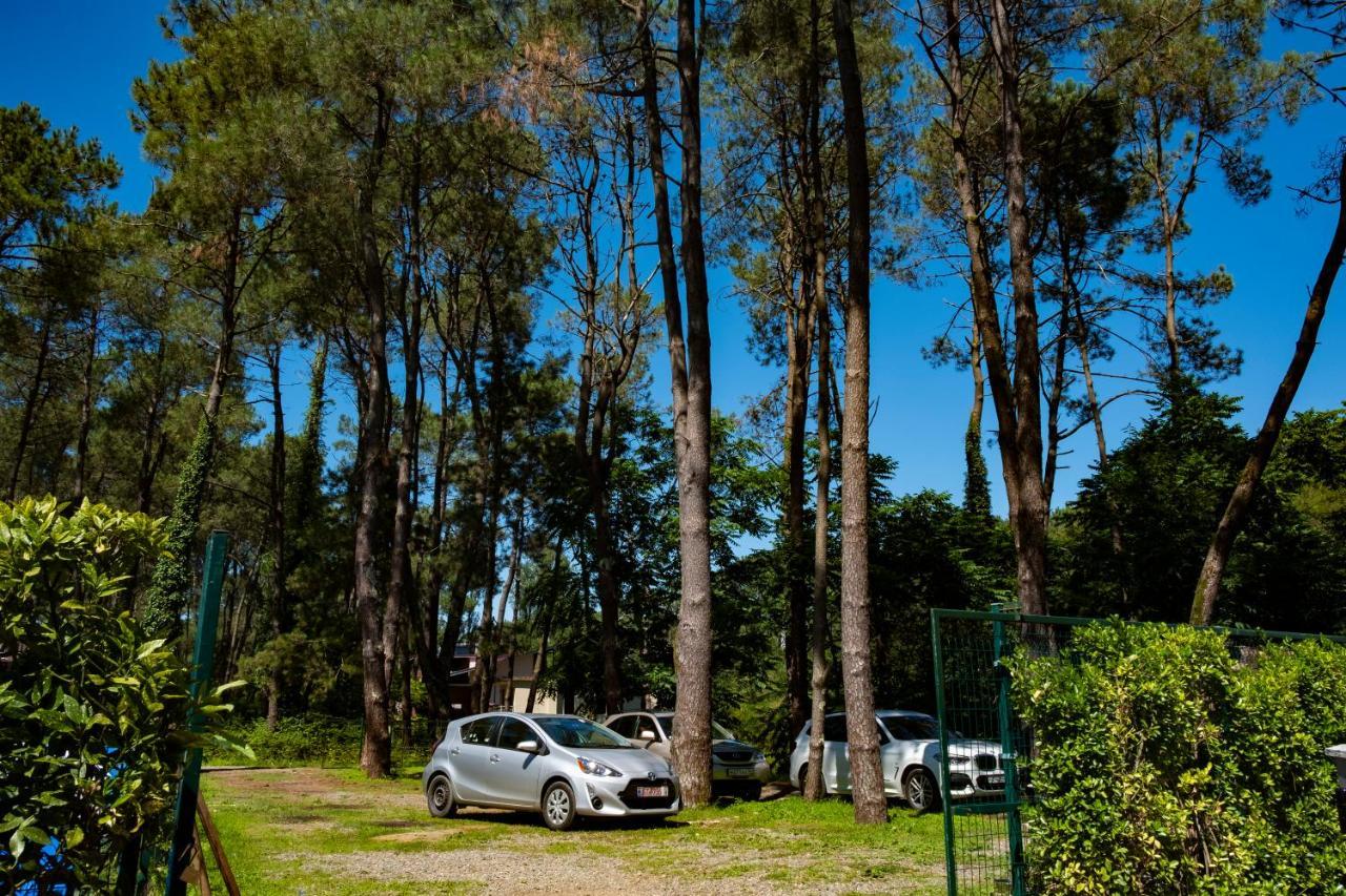 Buxus Hotel Shekvetili Esterno foto