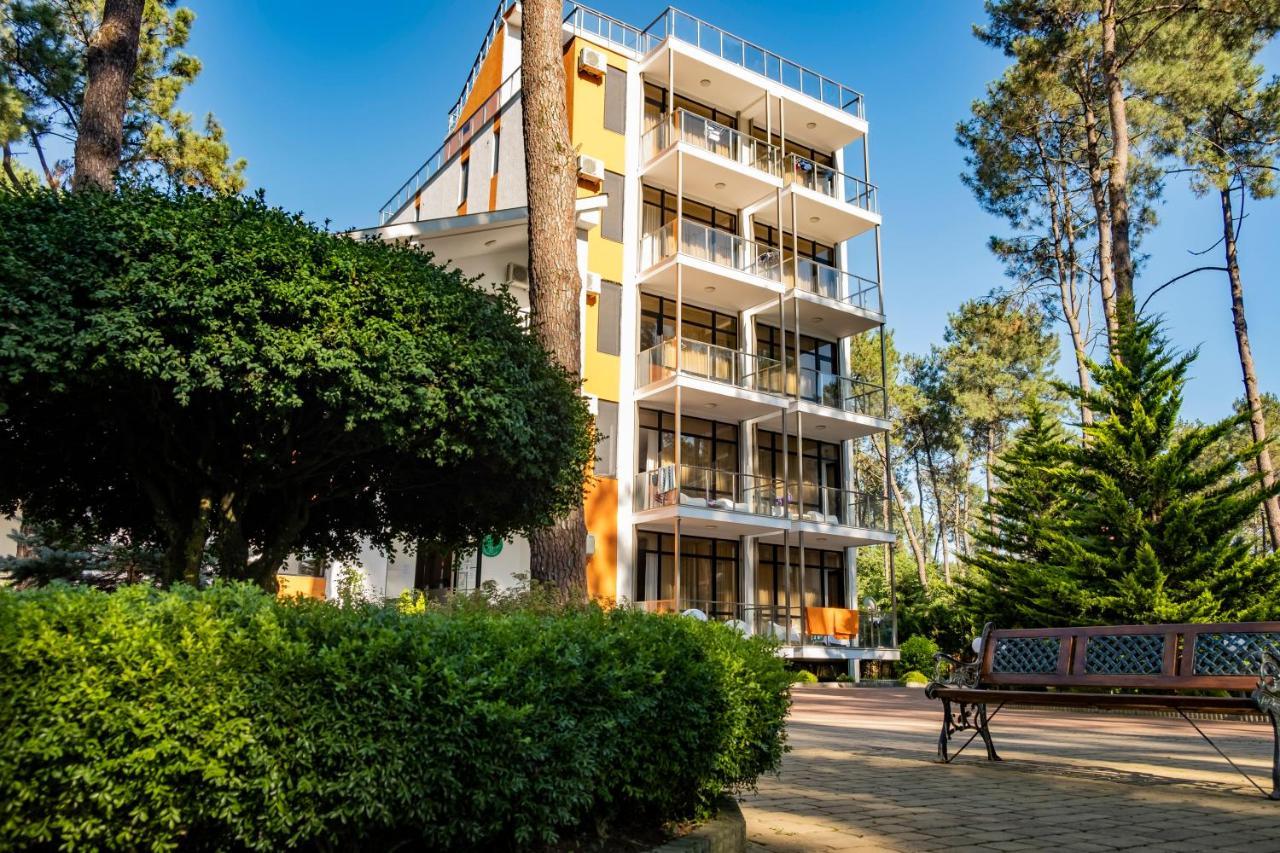 Buxus Hotel Shekvetili Esterno foto
